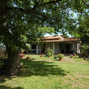 San Vincenzo Alloggio per agriturismo Sovana